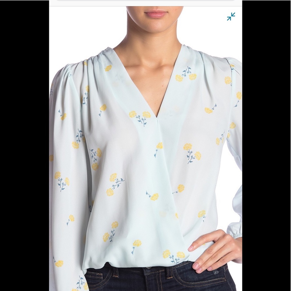 Elodie Drape Front Surplice Blouse